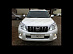 Дуга Prado 150 2010 +, на бампер передний, белый перламутр