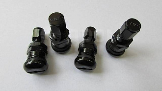 Ниппеля на колёса RAYS чёрные